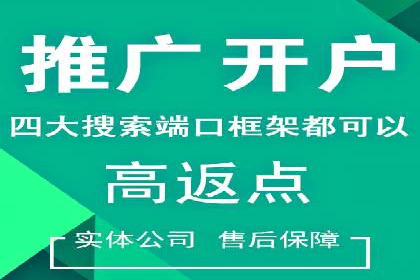 金融行业SEM推广的案例与策略分享